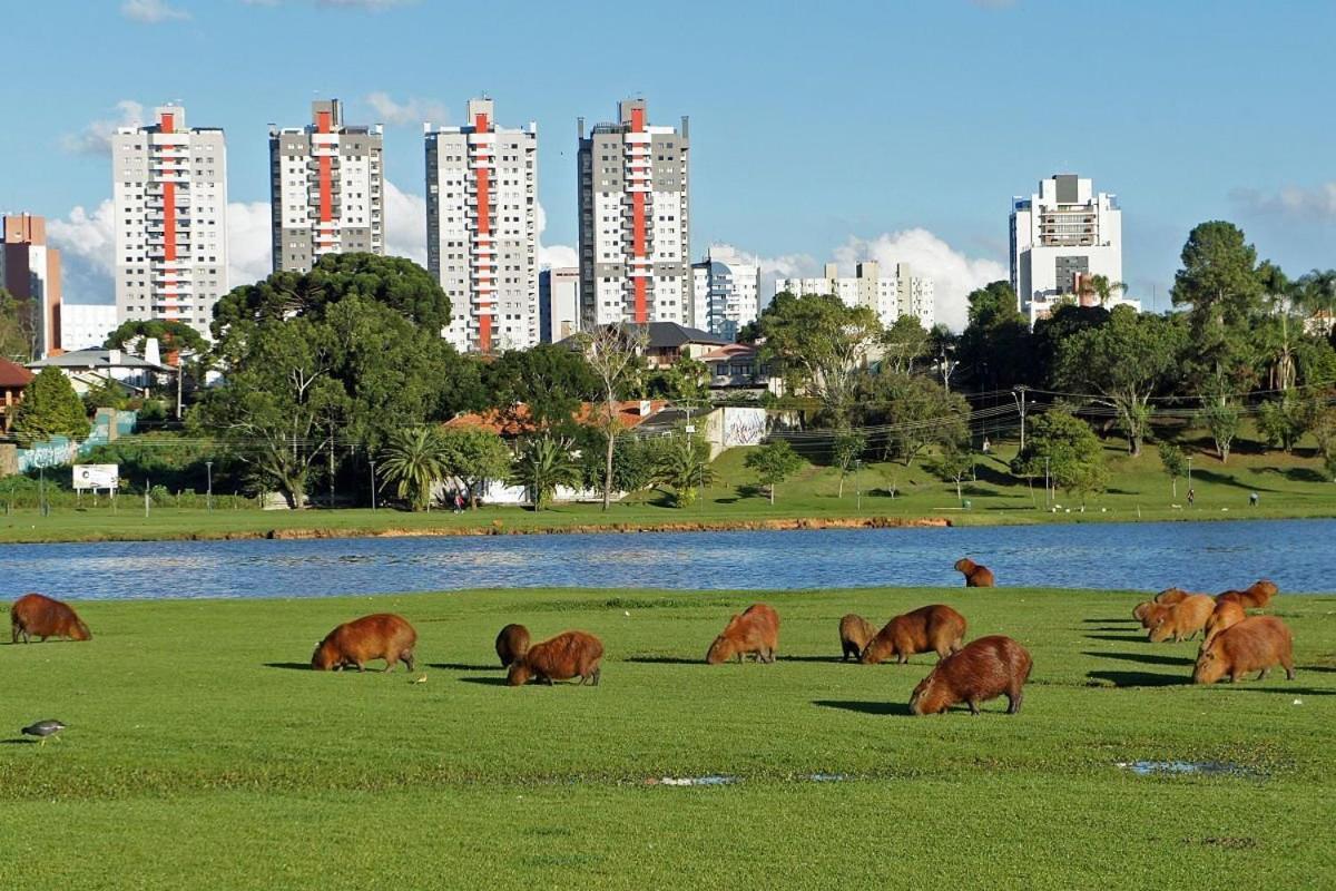 Predio Fantastico No Bairro Mais Requisitado De Curitiba Exterior foto
